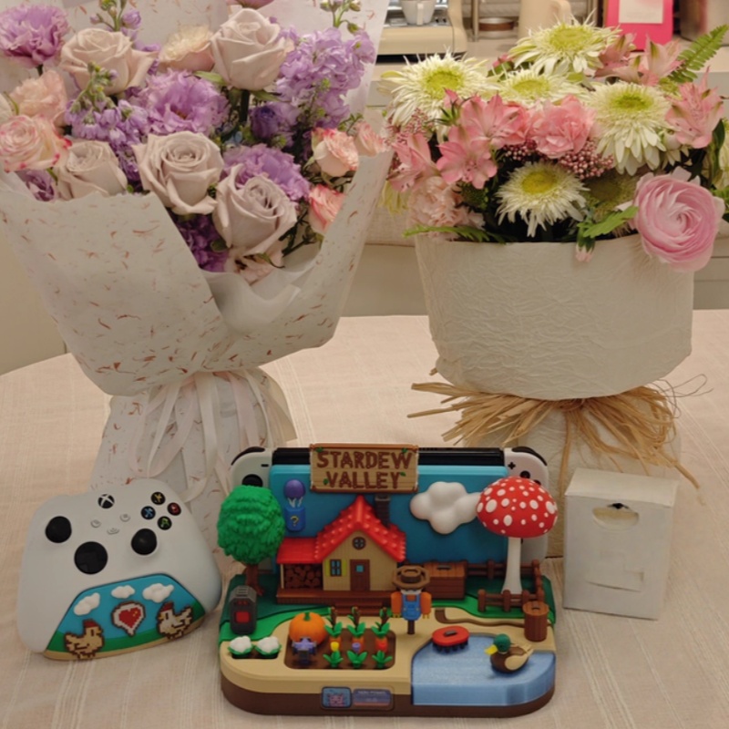 حامل شحن زخرفي بتصميم Stardew  - مراجعة Gaming Console Holder وسعره